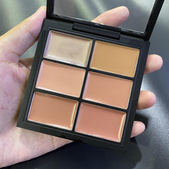 6 Lipstick Palette Matte & Shimmer Finish Nude Red Plum