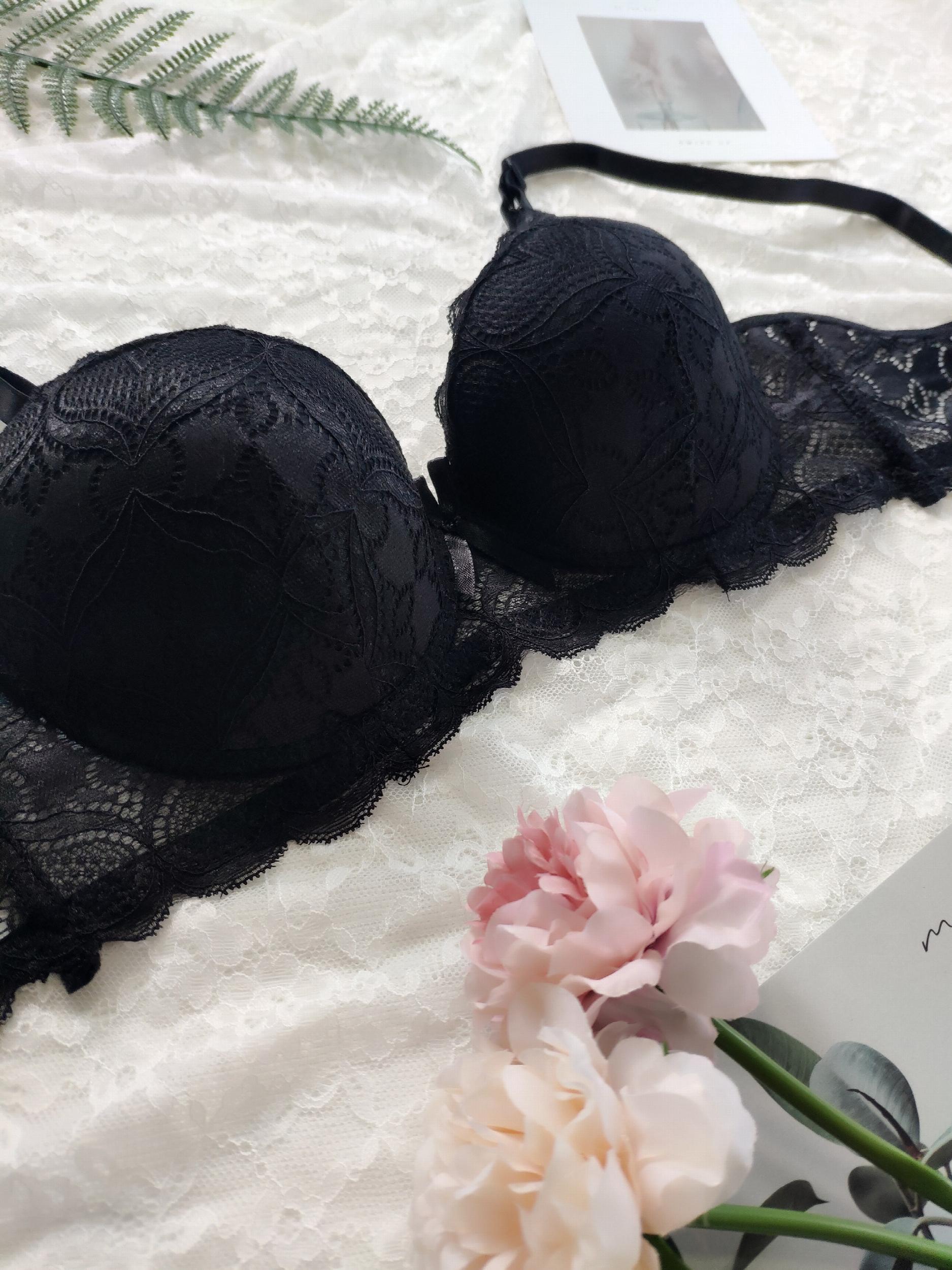 Lace Push Up Bra Comfy & Scallop Trim Bra Women's Lingerie