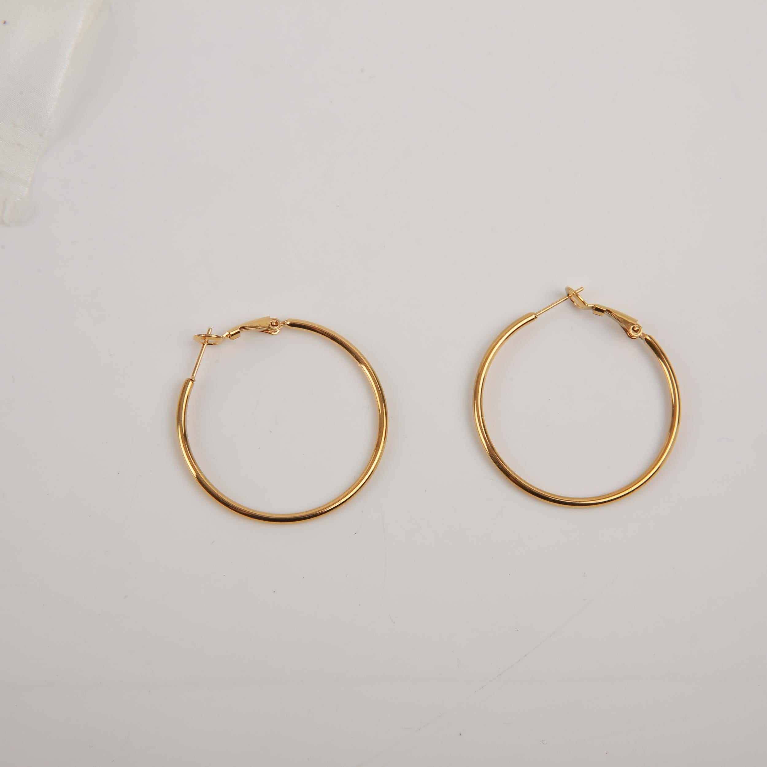 Golden Silvery Circle Earrings Minimalist Jewelry for Girls