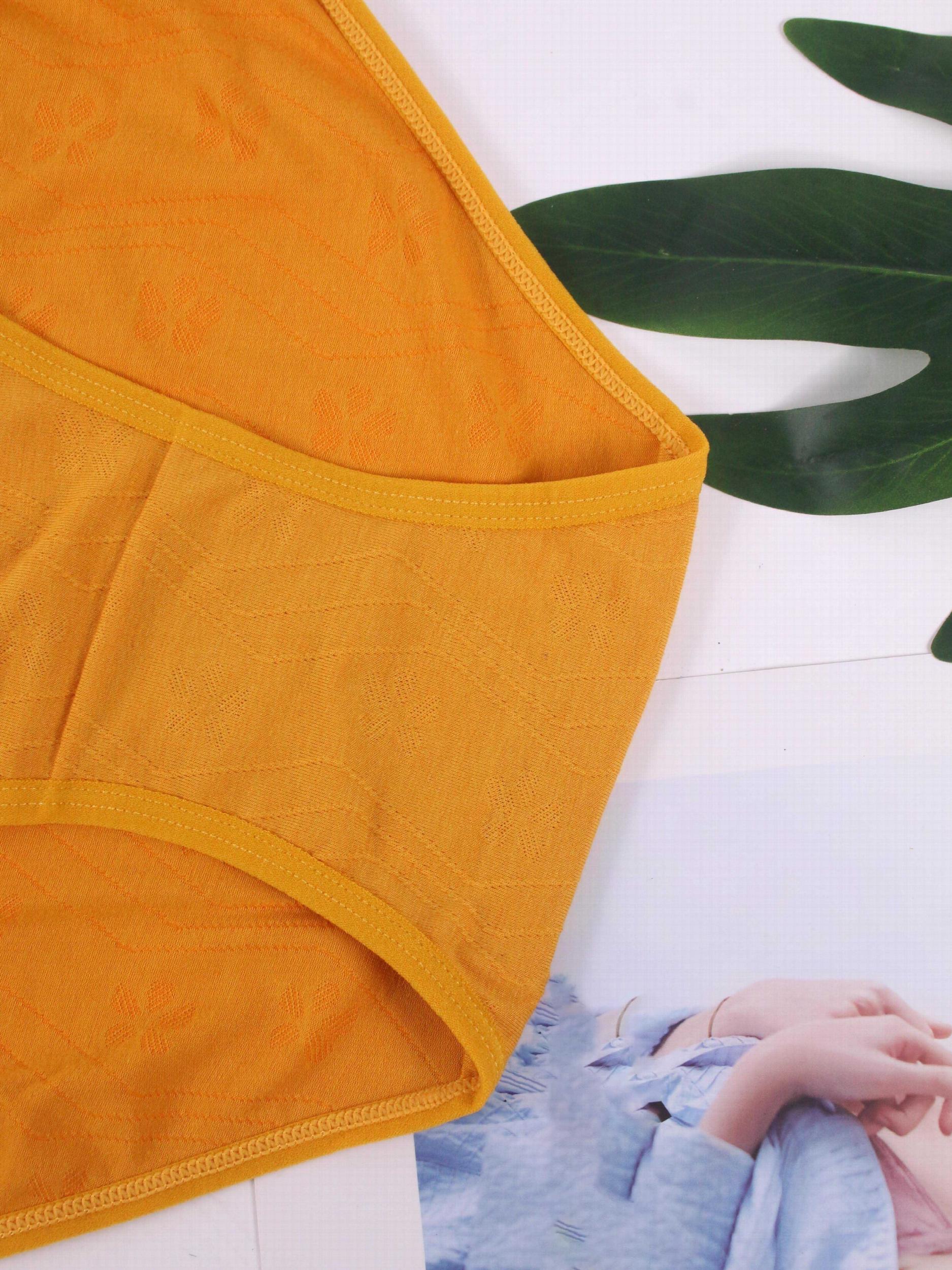 3 Pack Plus Size Seamless Mid Waisted Stretch Briefs Set