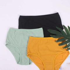 3 Pack Plus Size Seamless Mid Waisted Stretch Briefs Set