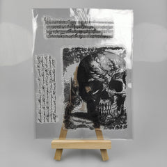 Skull Clear Stamps for Scrapbooking Embossing DIY Greeting Card