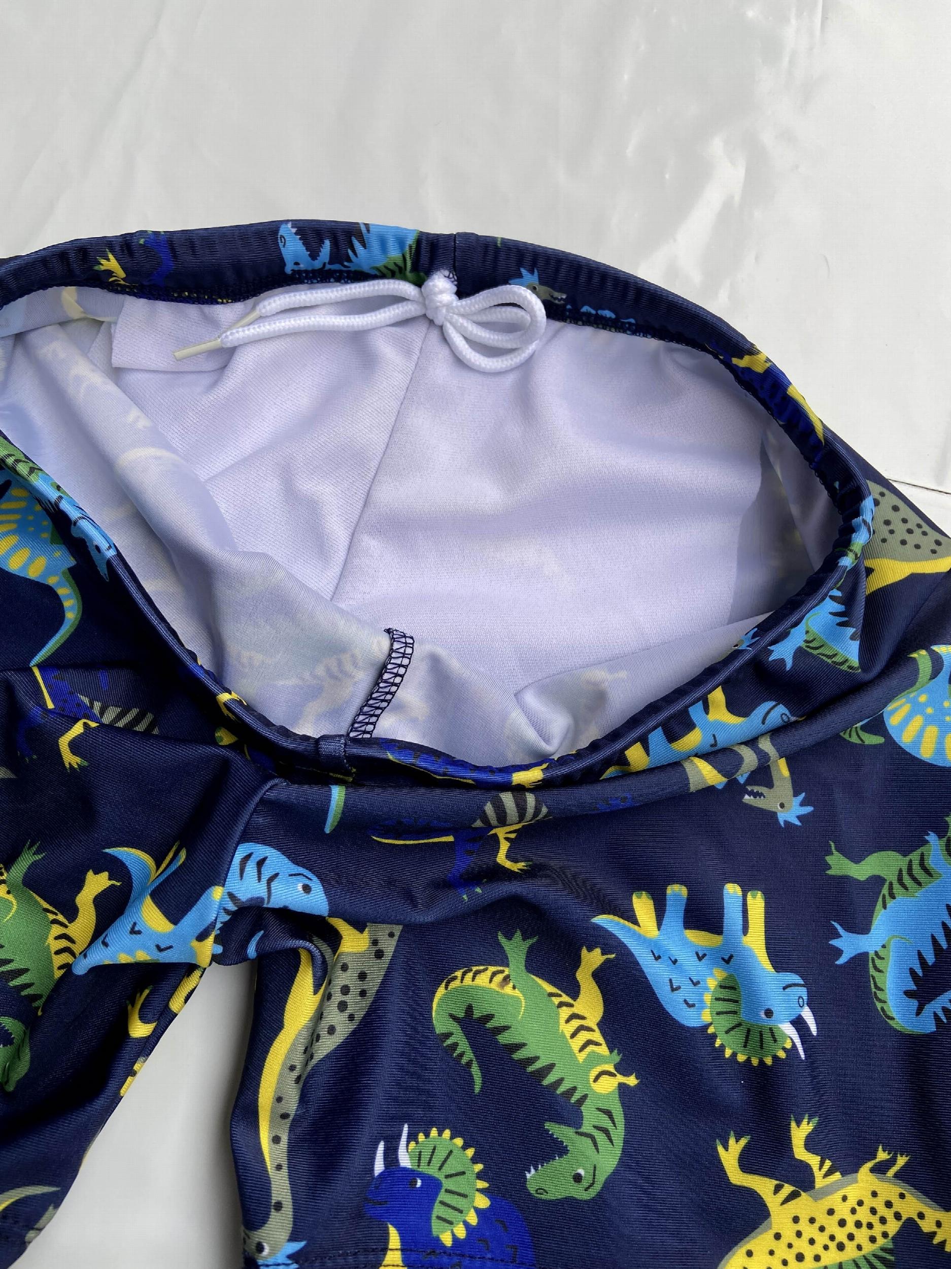 Boys Cartoon Dinosaurs Print Swimming Suit Set