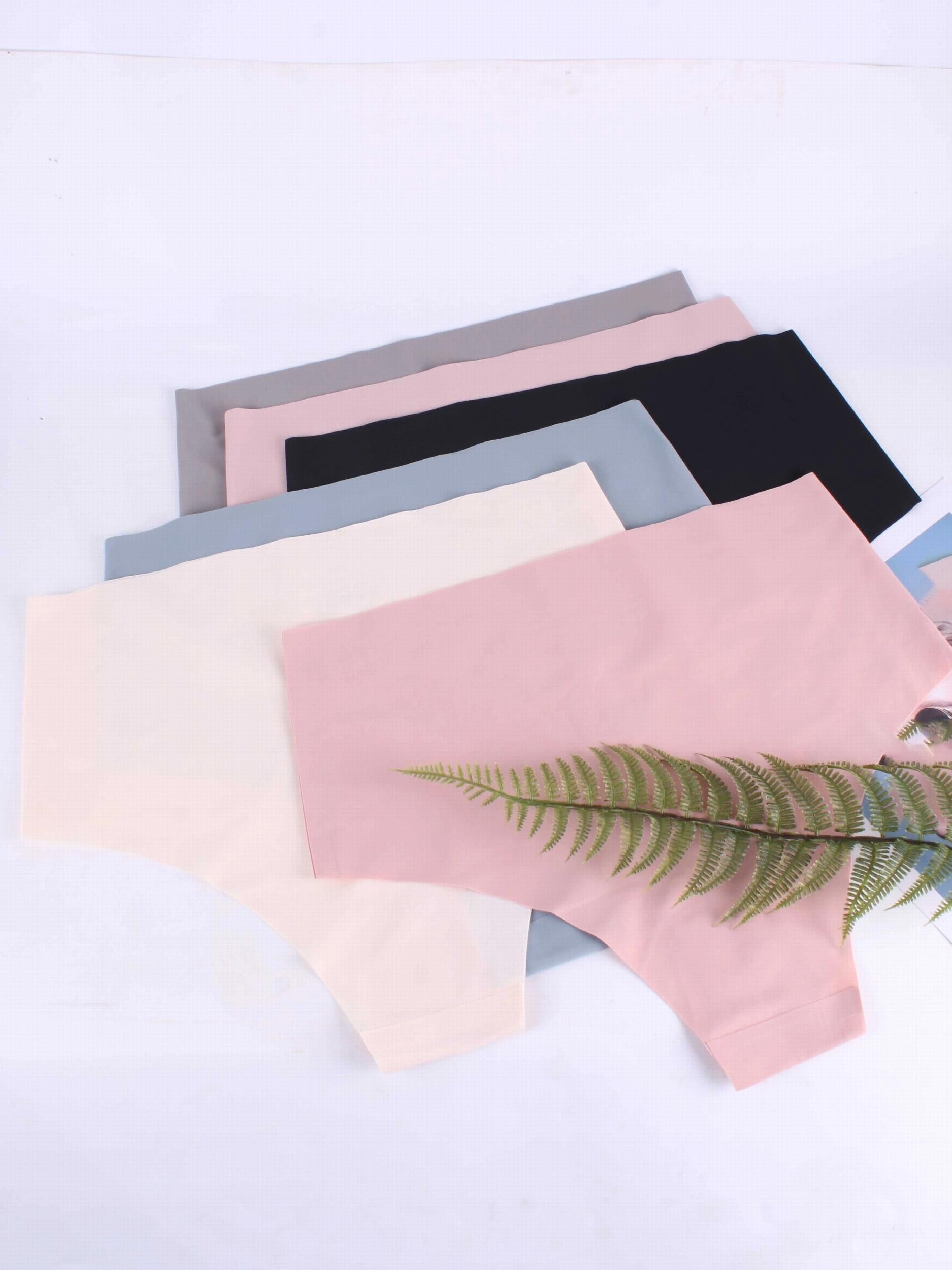 6 Pack Plus Size Panties Set Women's Seamless Cooling Soft Underwear