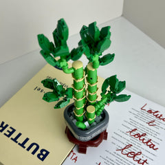Artistic Bonsai Money Tree Blocks Home Decor