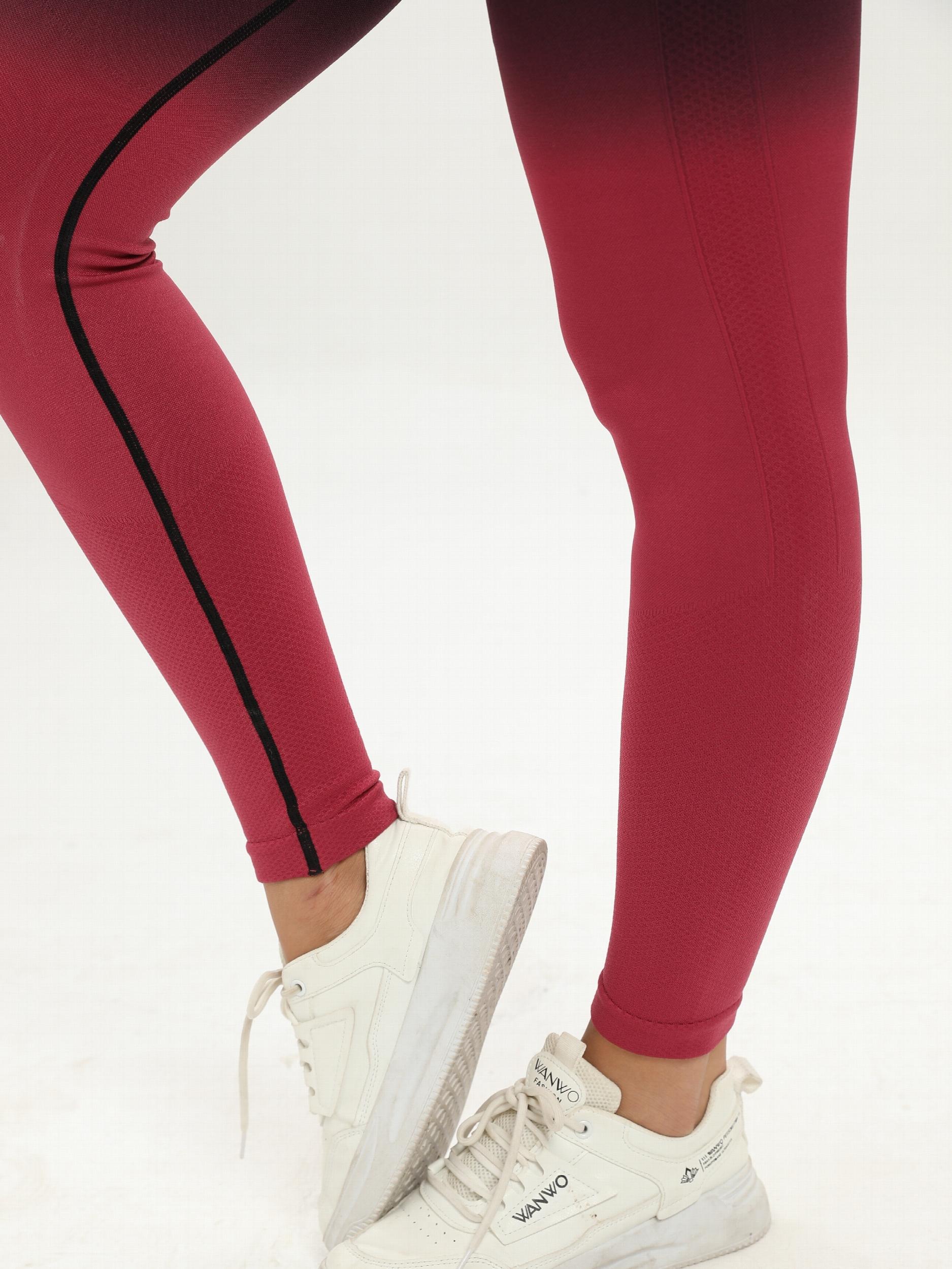 Ombre High Waist Yoga Pants for Women Butt Lifting Leggings