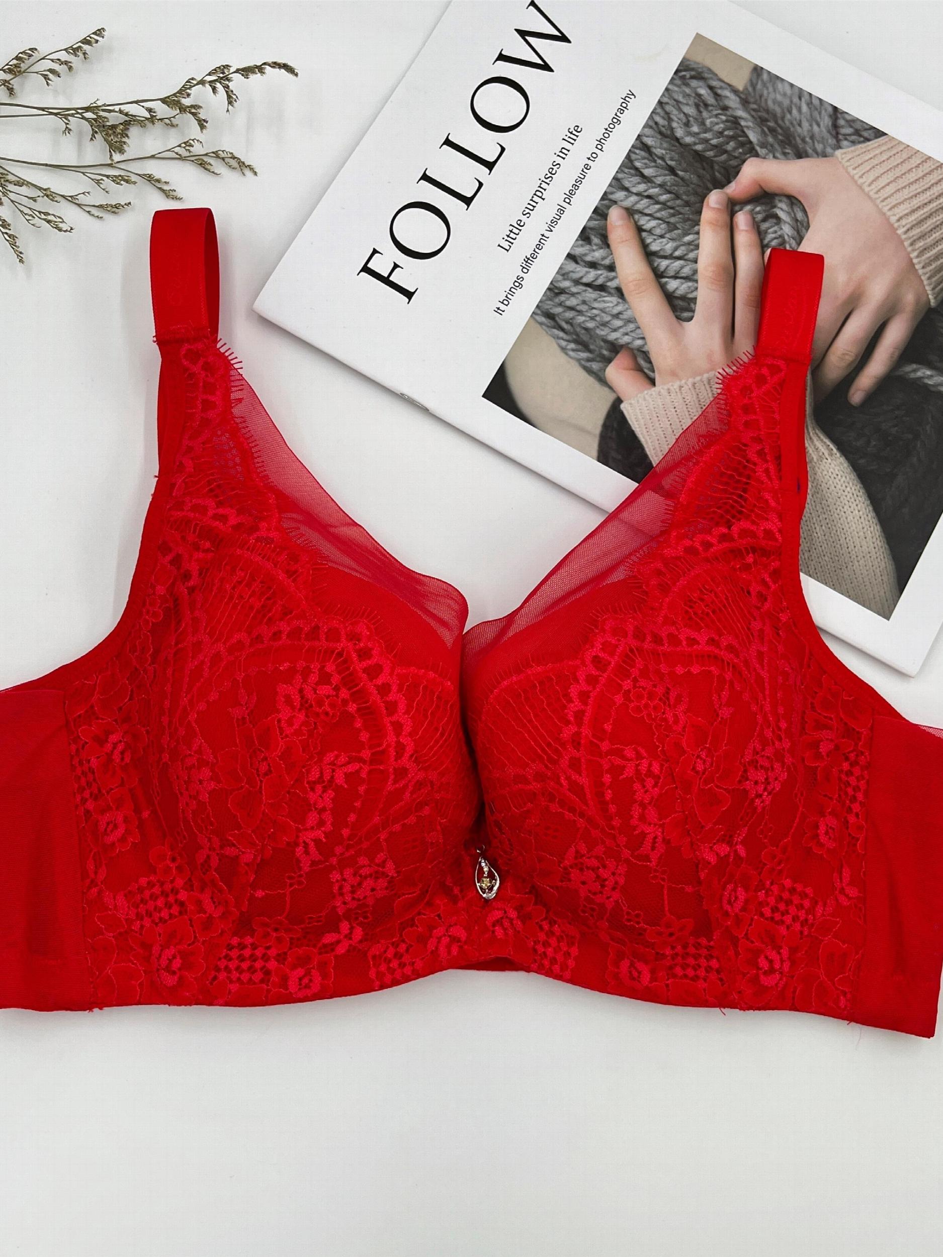 Lace Full Coverage Push Up Bra