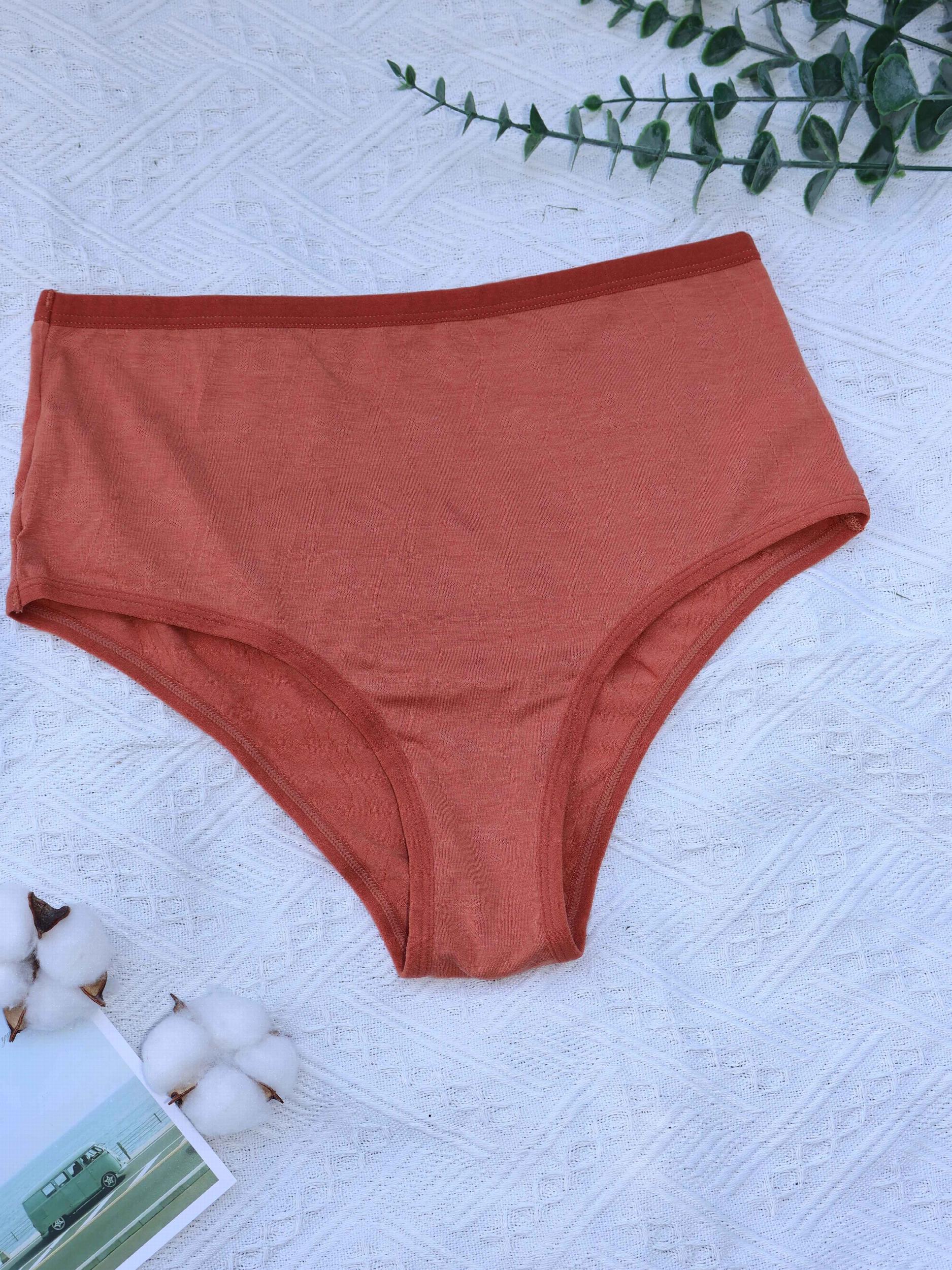 5 Pack Plus Size Mid Waisted Seamless Solid Underwear Set
