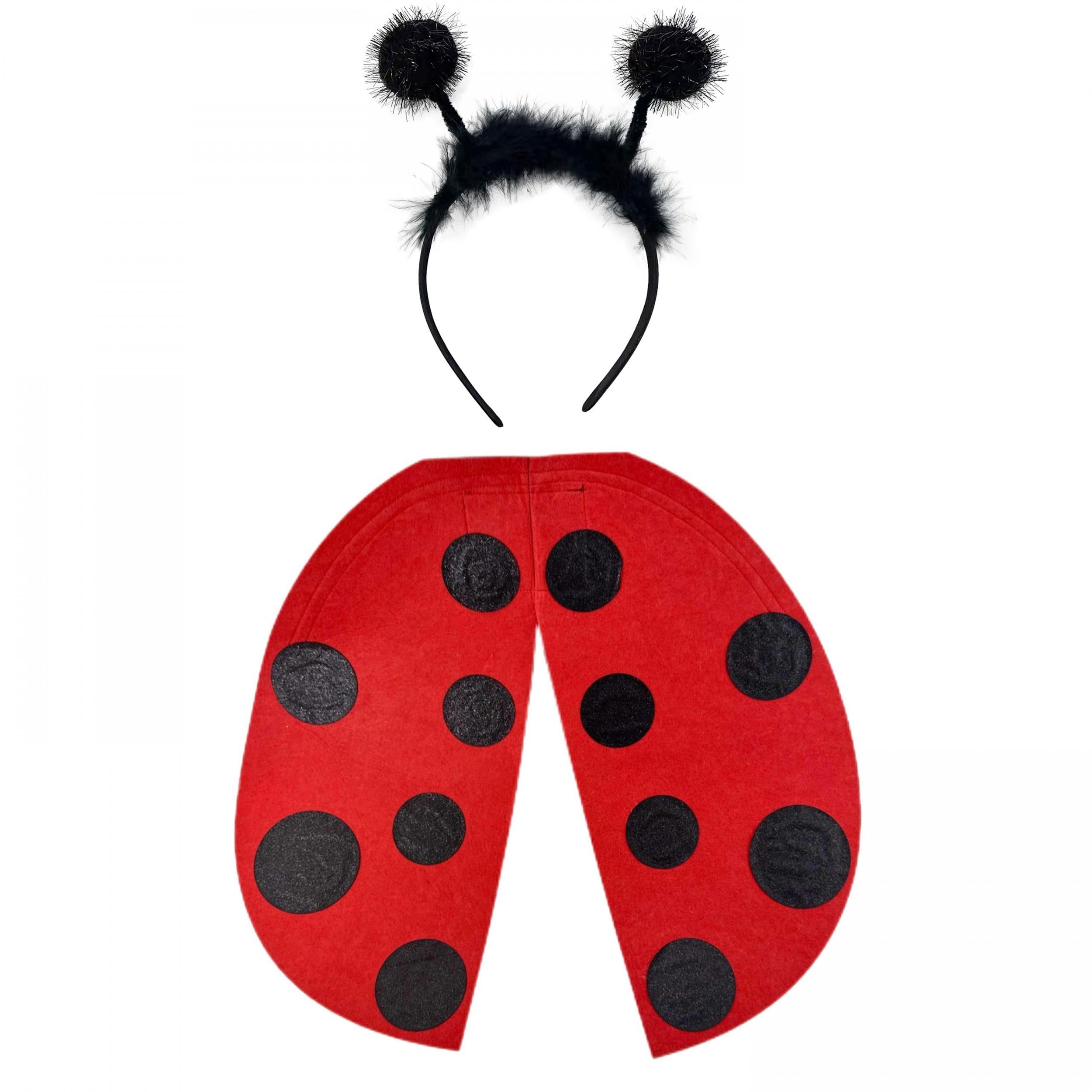Ladybug Wing Costume Prop Set with Antenna Headband