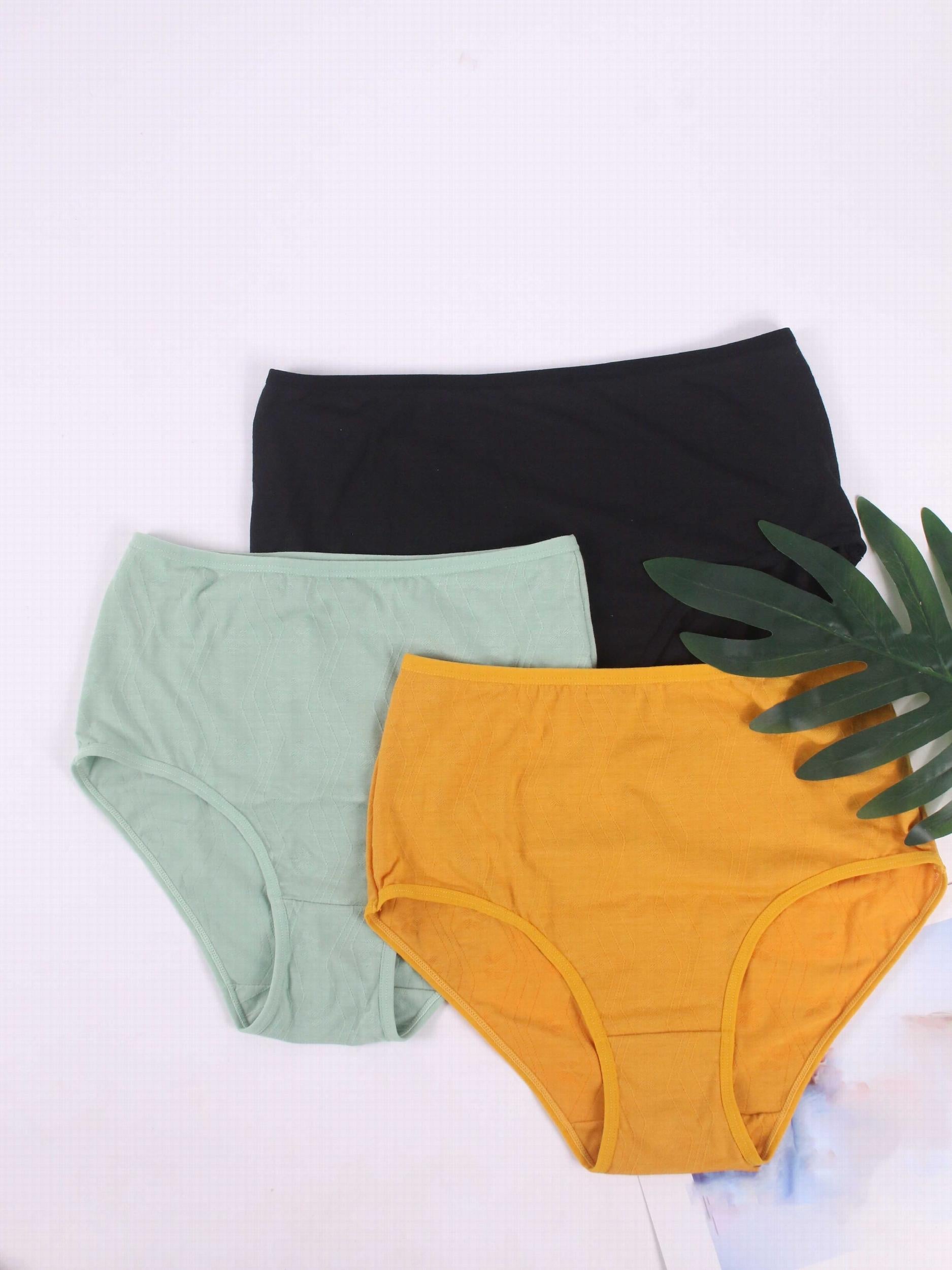 3 Pack Plus Size Seamless Mid Waisted Stretch Briefs Set