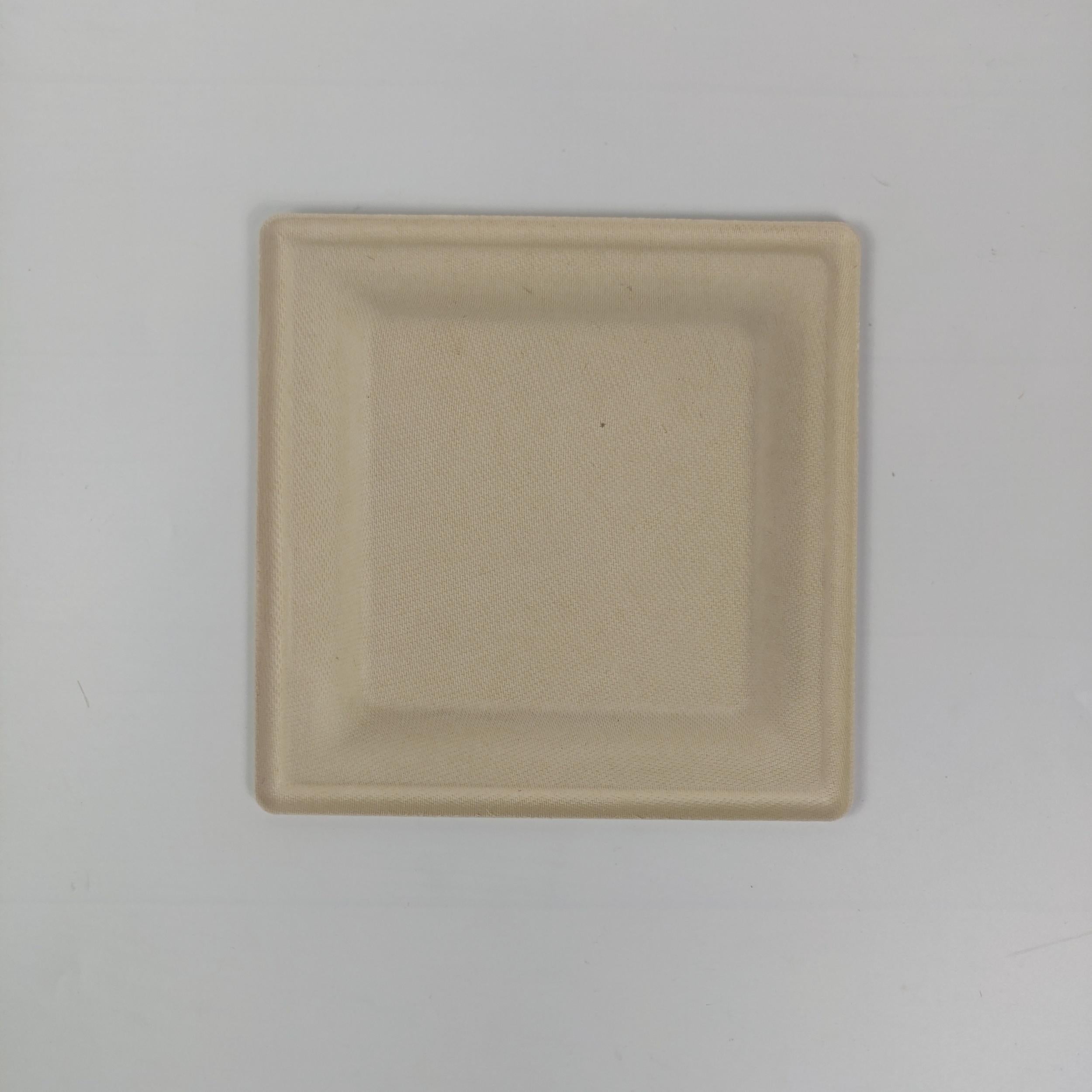 8" Compostable Square Plates, 100 Pack, Biodegradable Sugarcane Plates