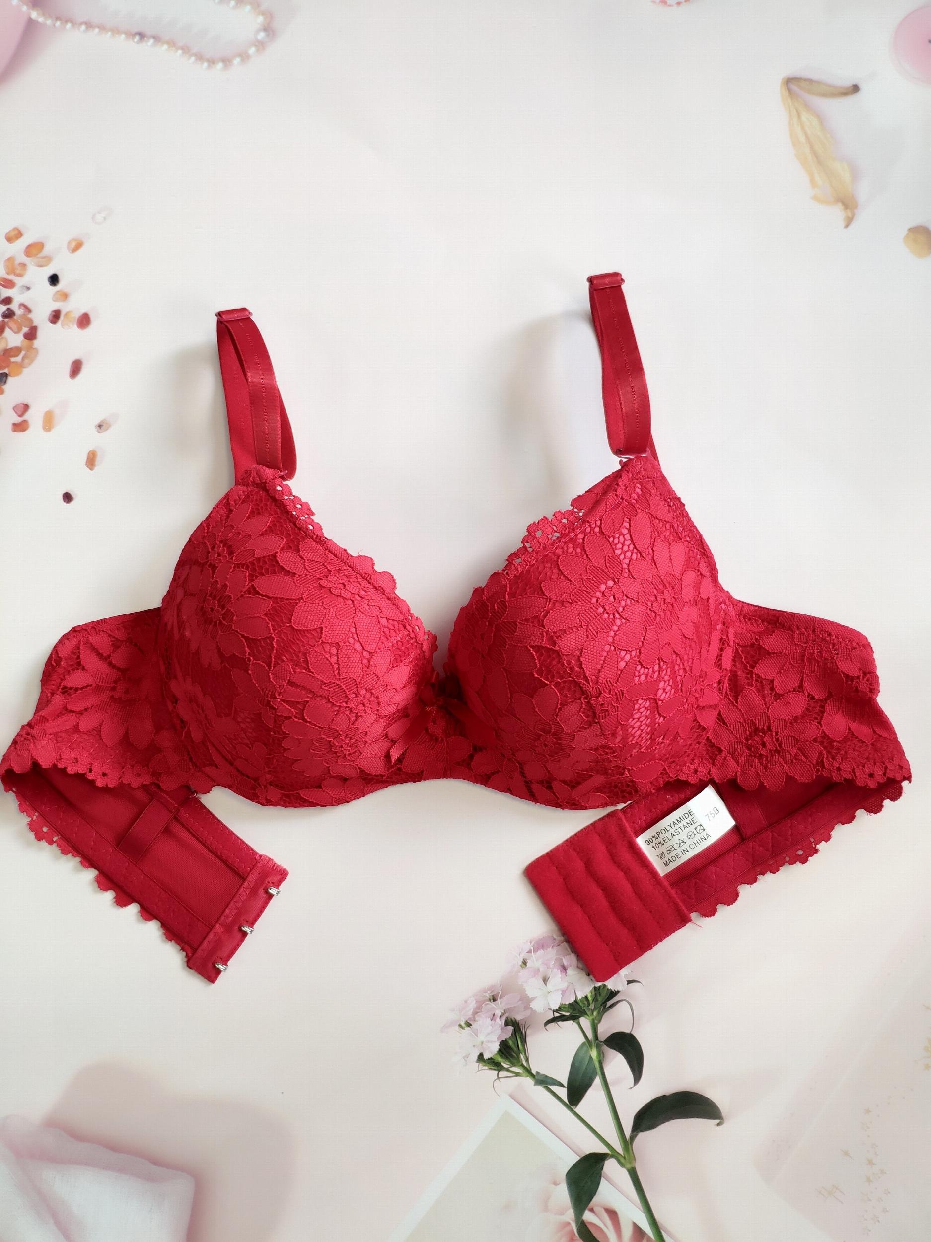 Lace Push Up Bra Comfy & Breathable Women's Lingerie