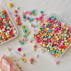 280pcs Small Star Flowers Dried Pressed Flowers Bulk For Resin DIY Garland