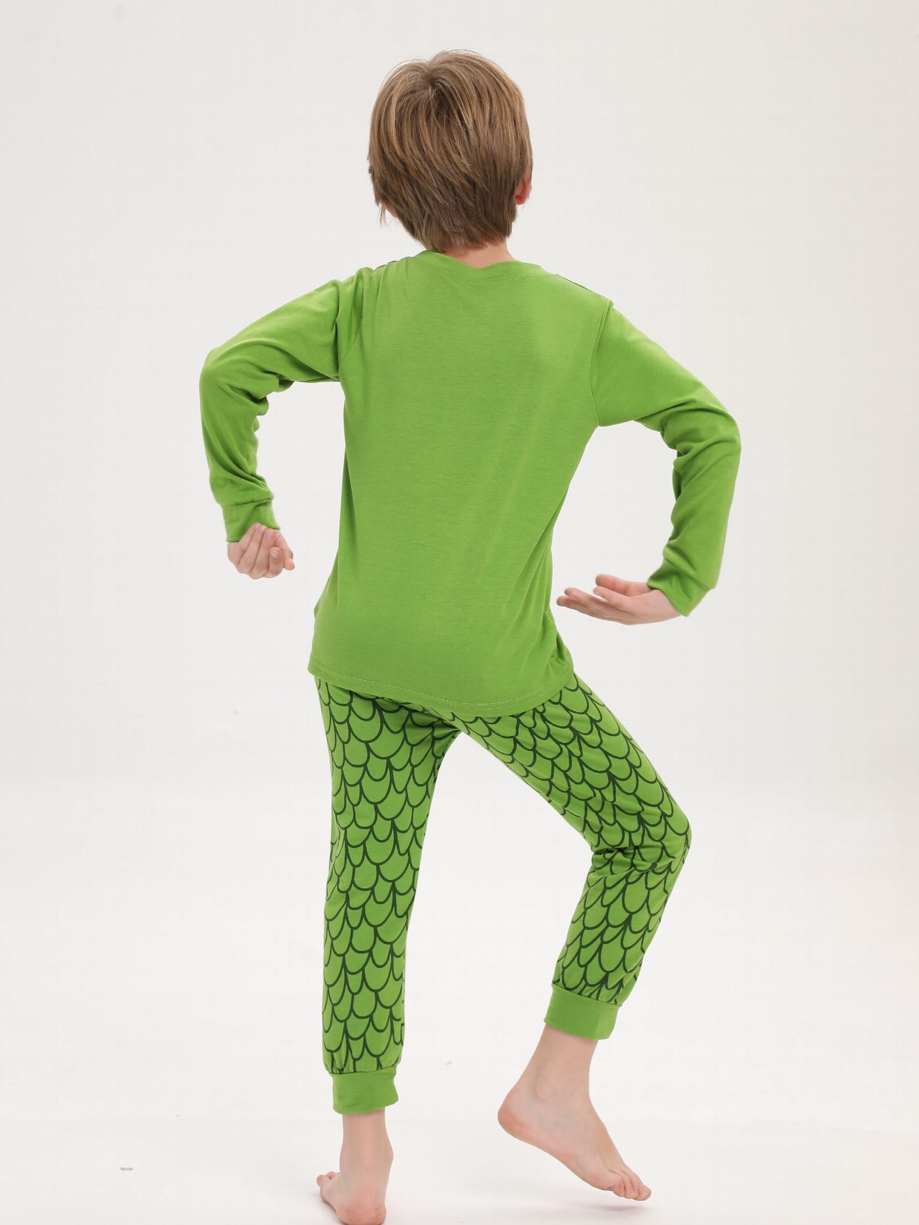 Boys 2pcs Dino Print Top & Pants Pajamas Set