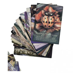 Dragonfly Oracle Cards: Creative Animals Tarot for Party Game