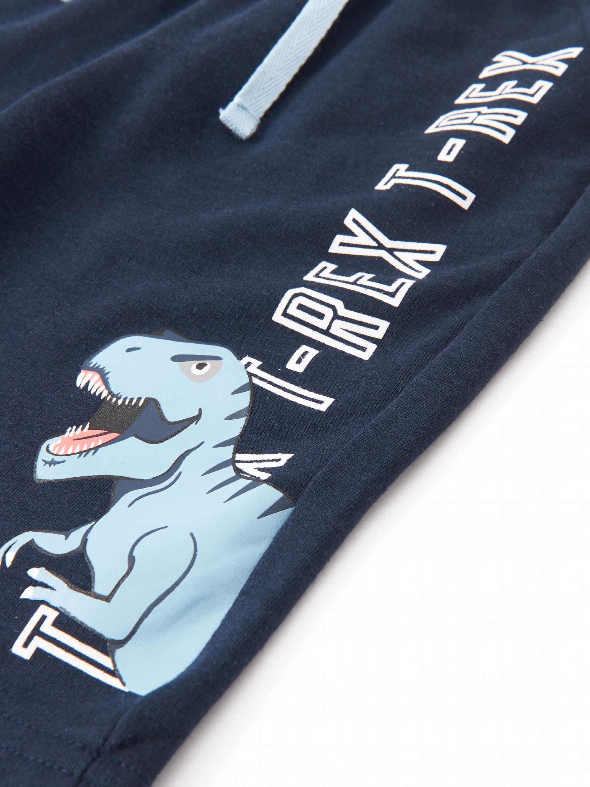 Boys T rex Dinosaur Outfit Short Sleeves Round Neck T shirt & Shorts
