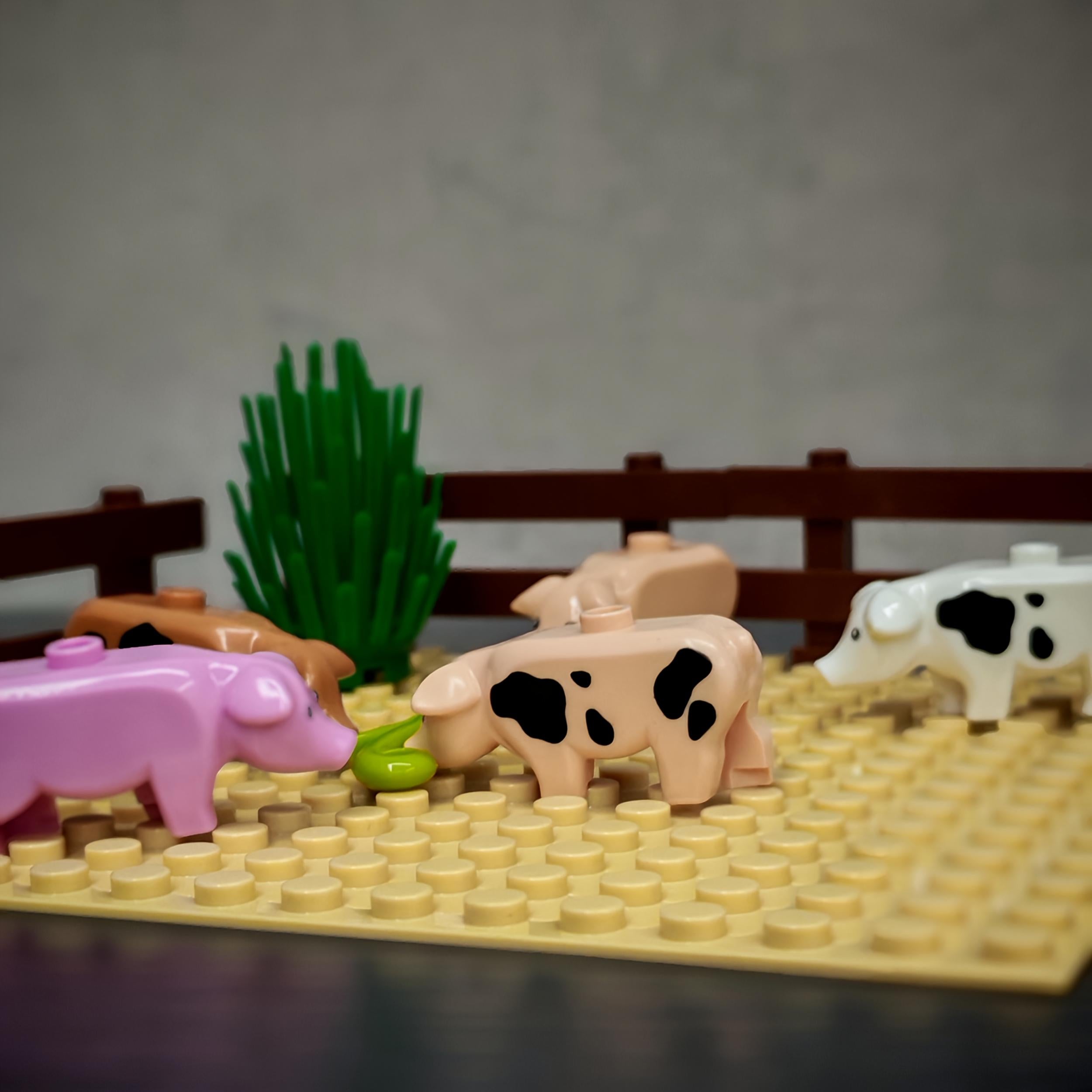 Pig Building Blocks Set Animal Farm Theme Kids Interlocking Bricks