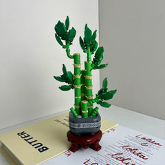 Fortune Lucky Bamboo Jiejie High Rise Creative Potted Flower Bouquet
