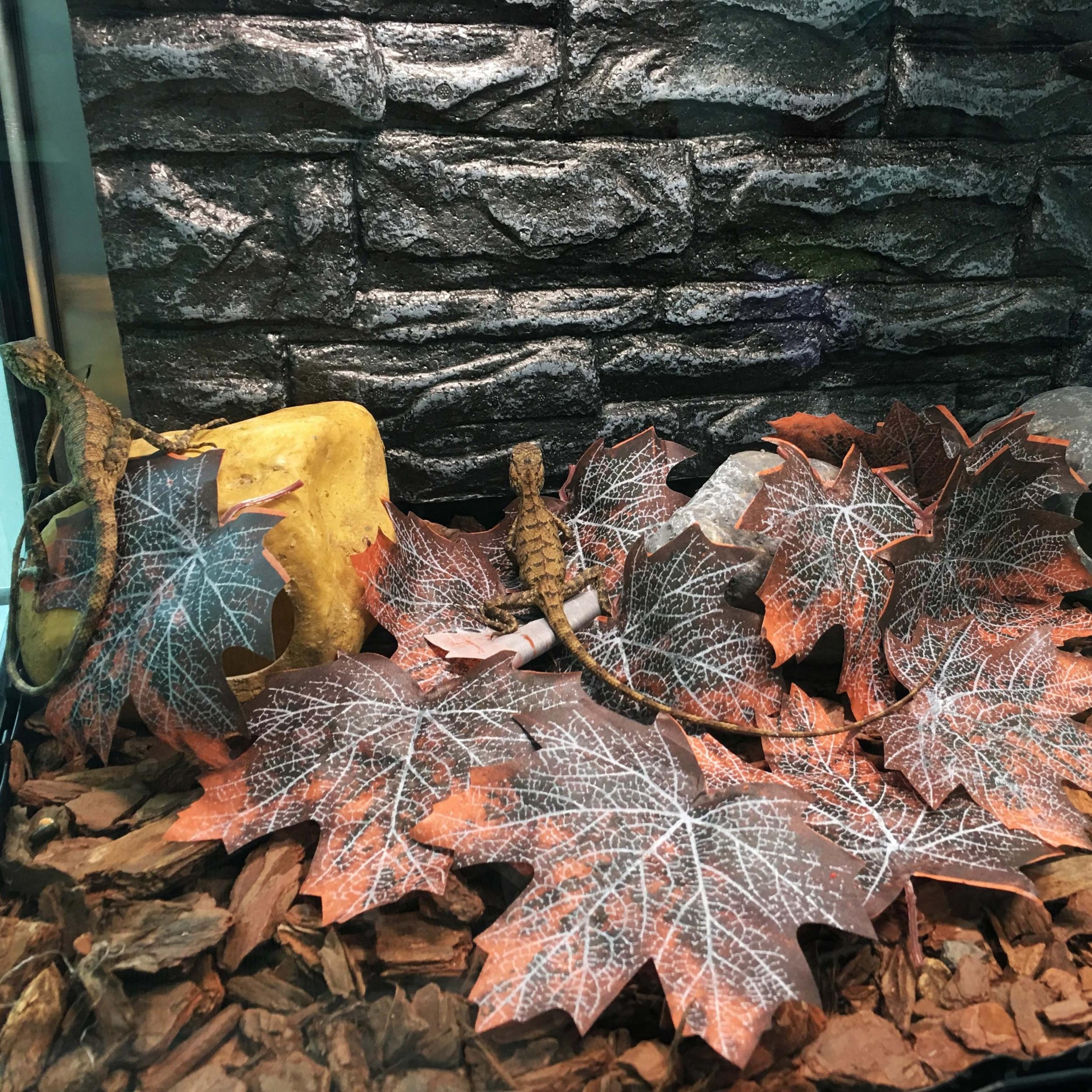 12pcs Reptile Leaves Spider Hides Cave Small Animal Hideaway Pet Toys