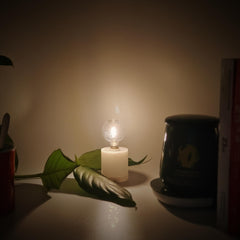 Golden Mini Nightlight 4 in 1 Set Camping & Bedside Light