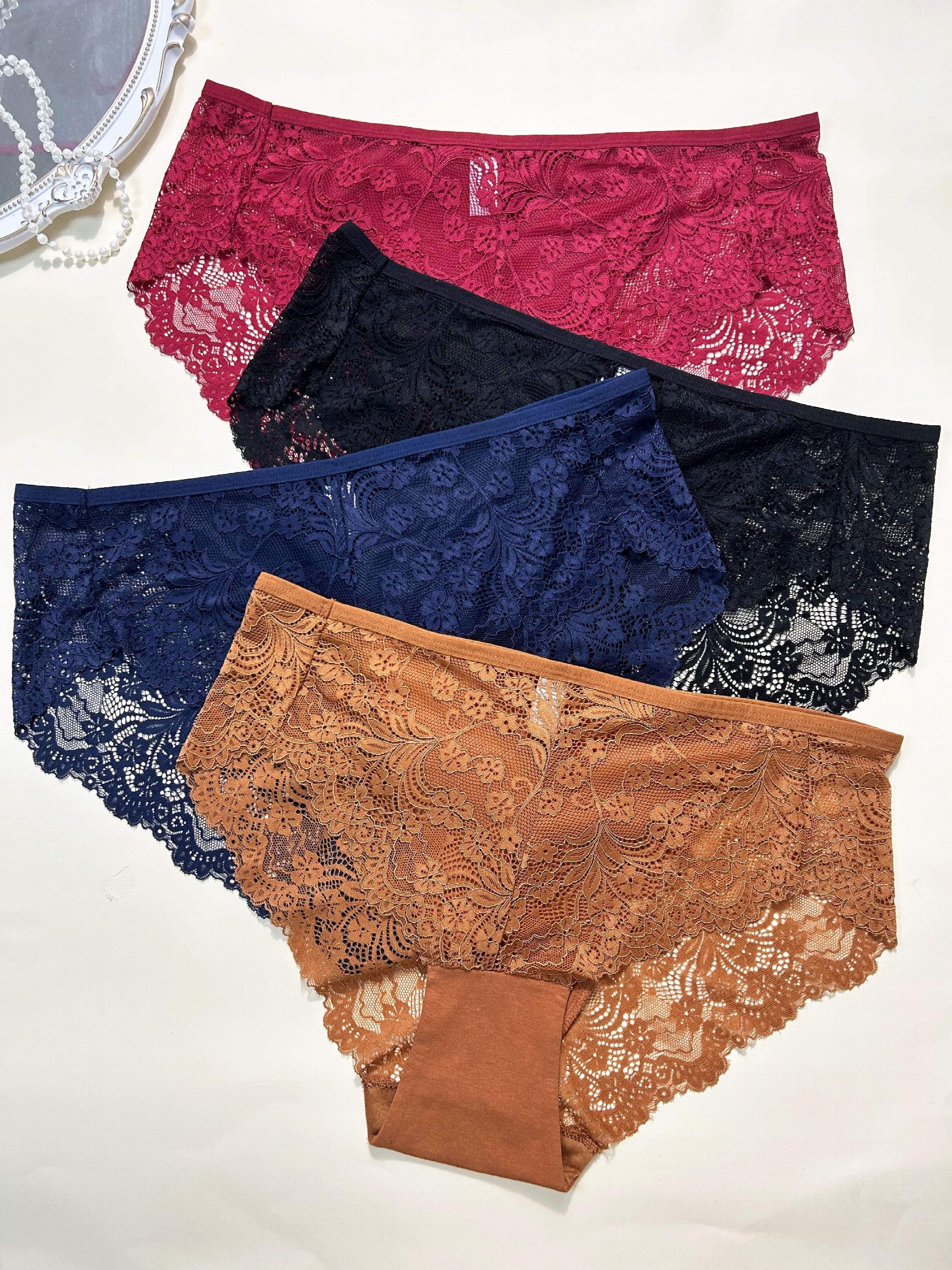 4 Pack Plus Size Lace High Waist Hipster Underwear Set