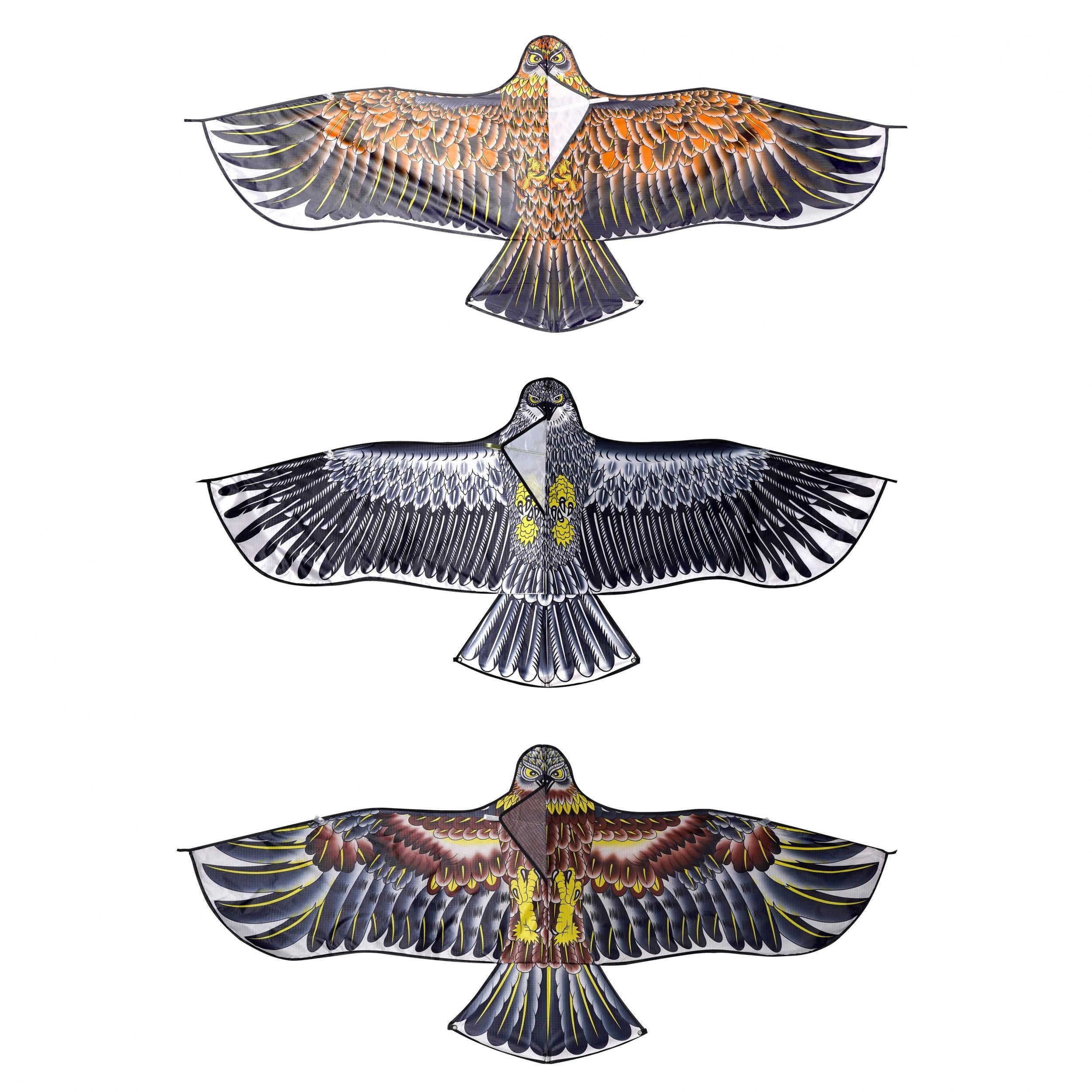 Eagle Kite With Kite Line For Outdoor Fun