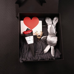 Men's 4pcs Set with Bag, Scarf, Brooch, Plush Toy & Suit Accessories