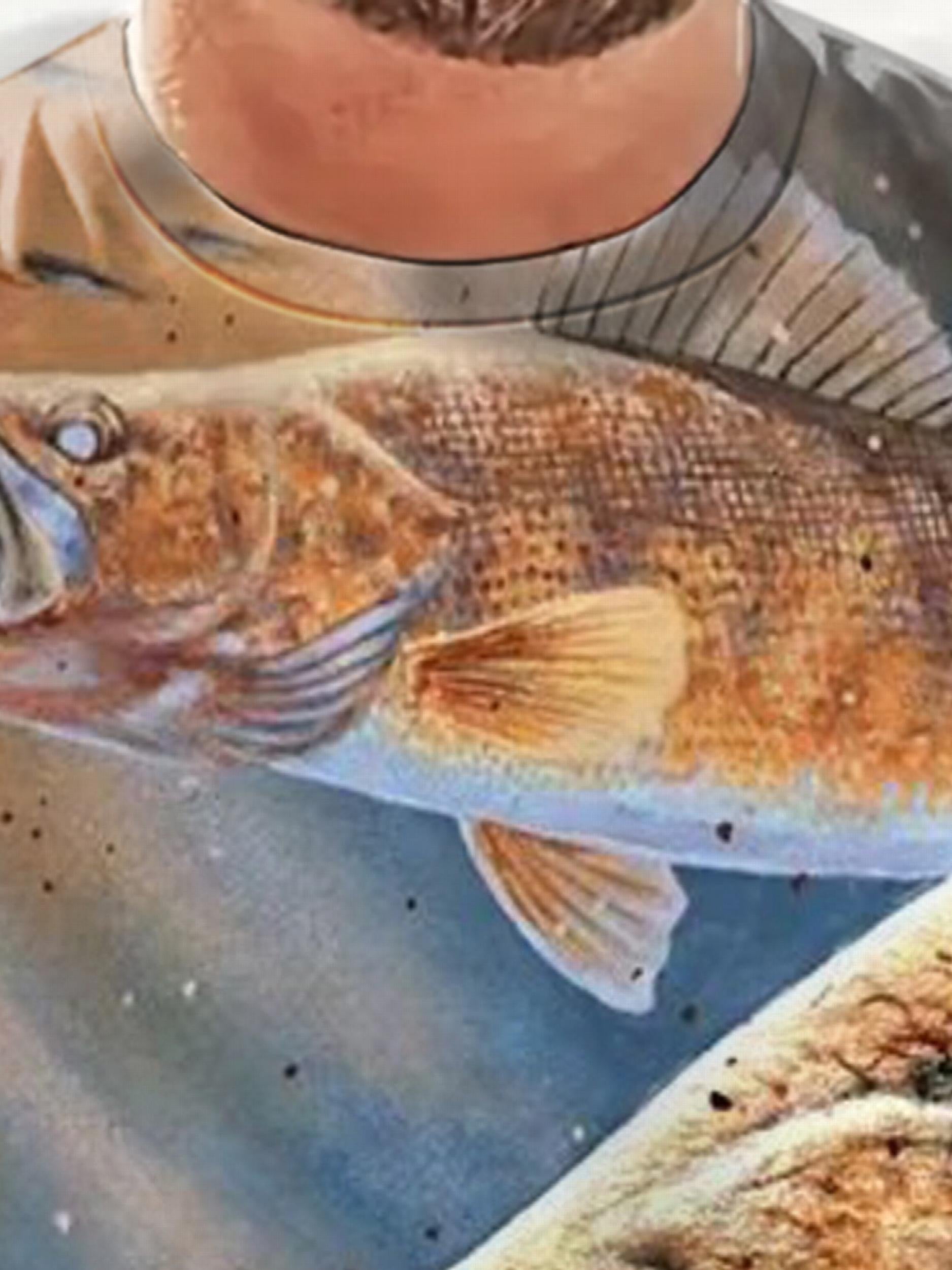 Men's Fish Graphic T Shirt 3D Digital Print Short Sleeve Tee for Summer