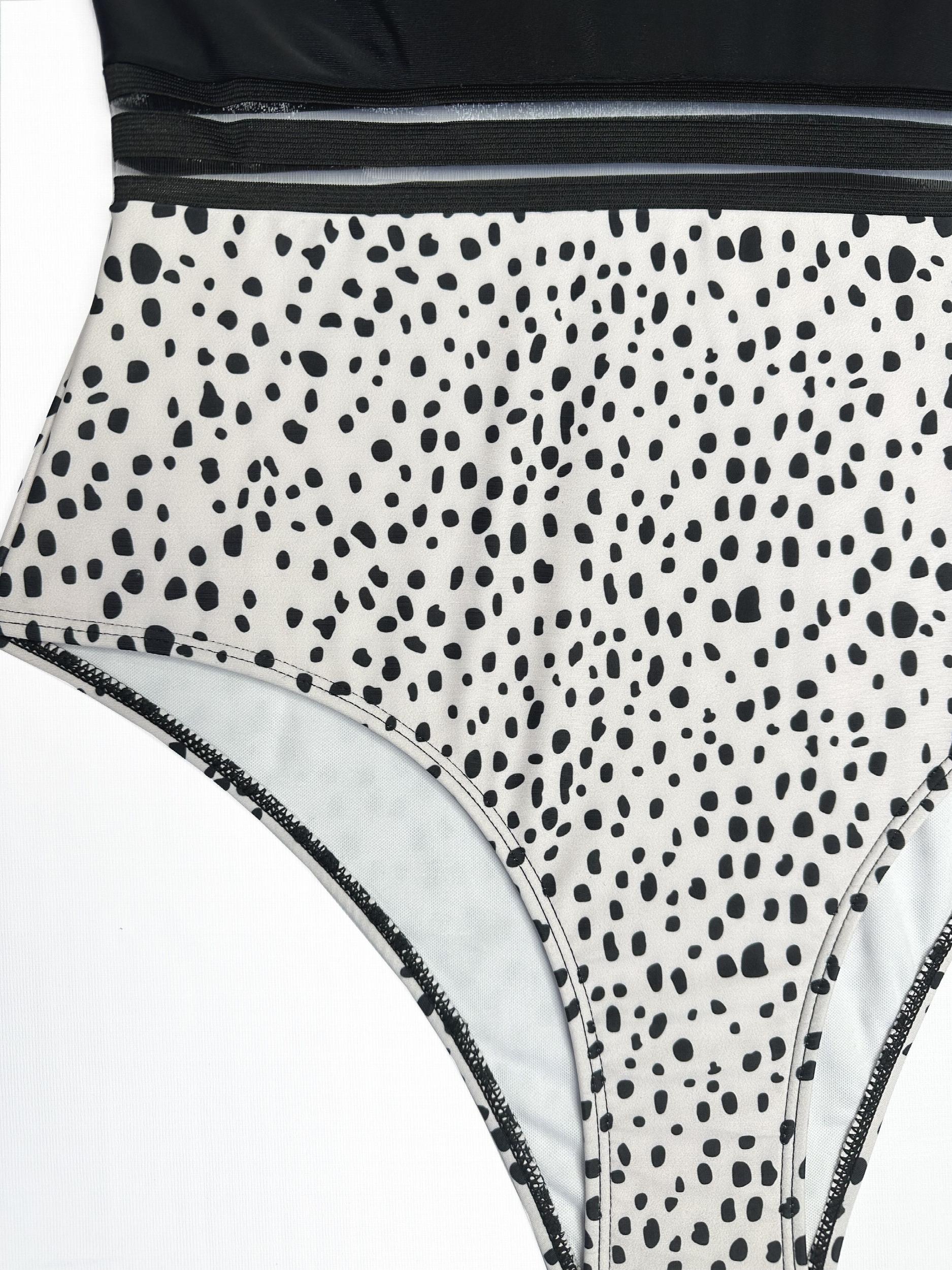 Colorblock Dalmatian Print Mesh One Piece Swimsuit