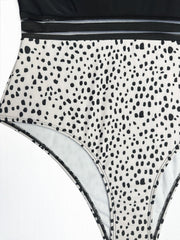 Colorblock Dalmatian Print Mesh One Piece Swimsuit
