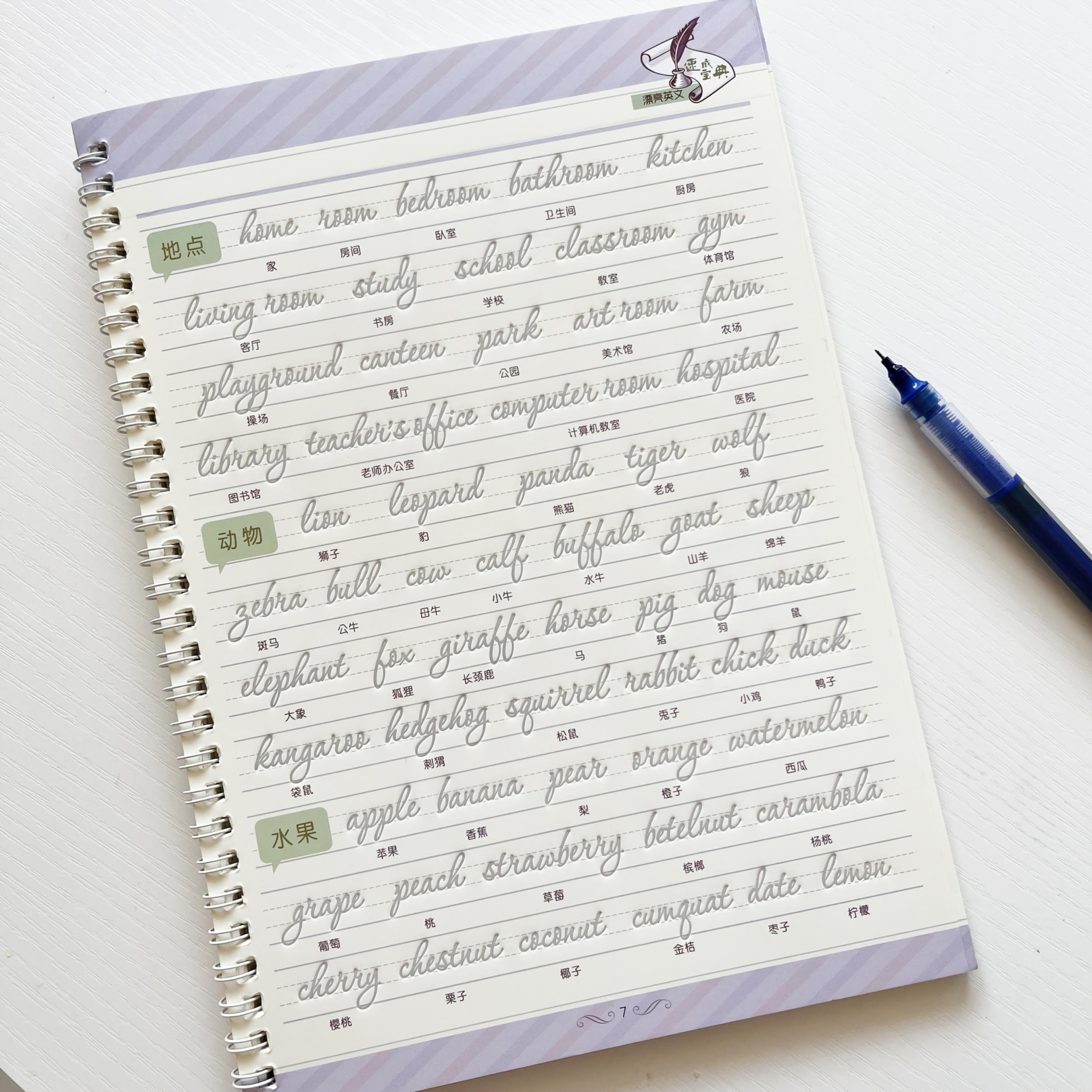 Reusable English Calligraphy Learning Book For Adults