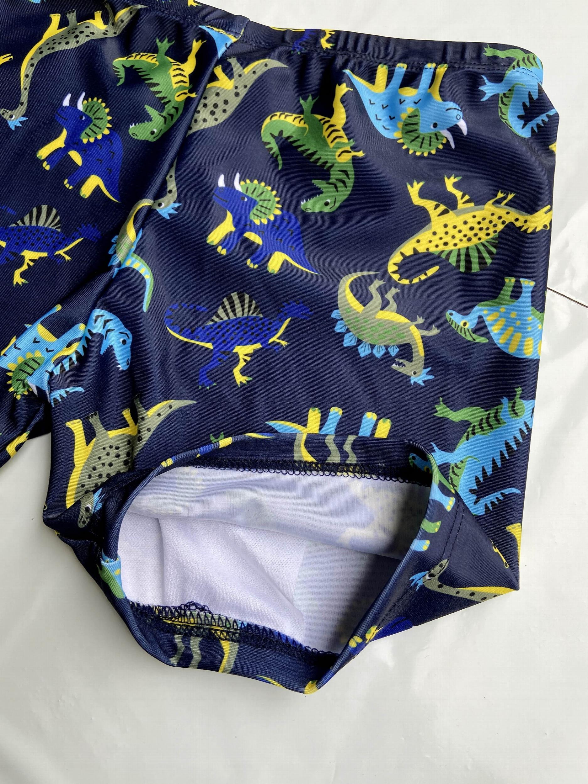 Boys Cartoon Dinosaurs Print Swimming Suit Set