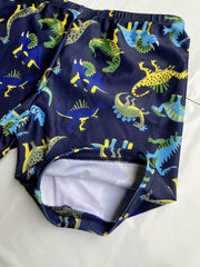 Boys Cartoon Dinosaurs Print Swimming Suit Set