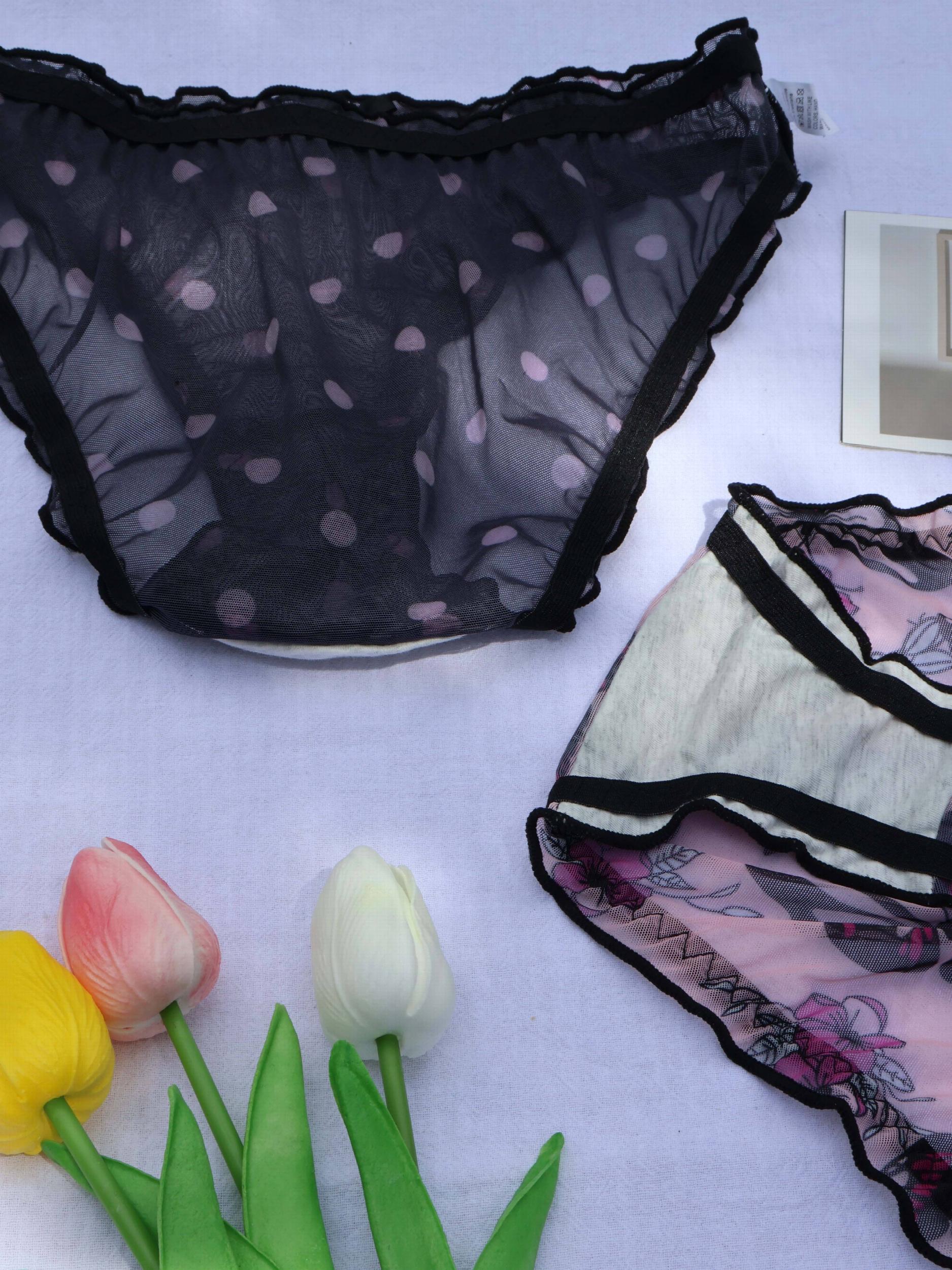 3pcs Butterfly & Polka Dot Briefs Sheer Mesh Panties Women's Lingerie