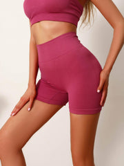 Women Sports Shorts Stretchy Fitness Workout Gym Sports Shorts