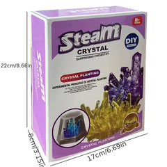 Crystal Planting Experiments Science Toys DIY Growable Crystals Set