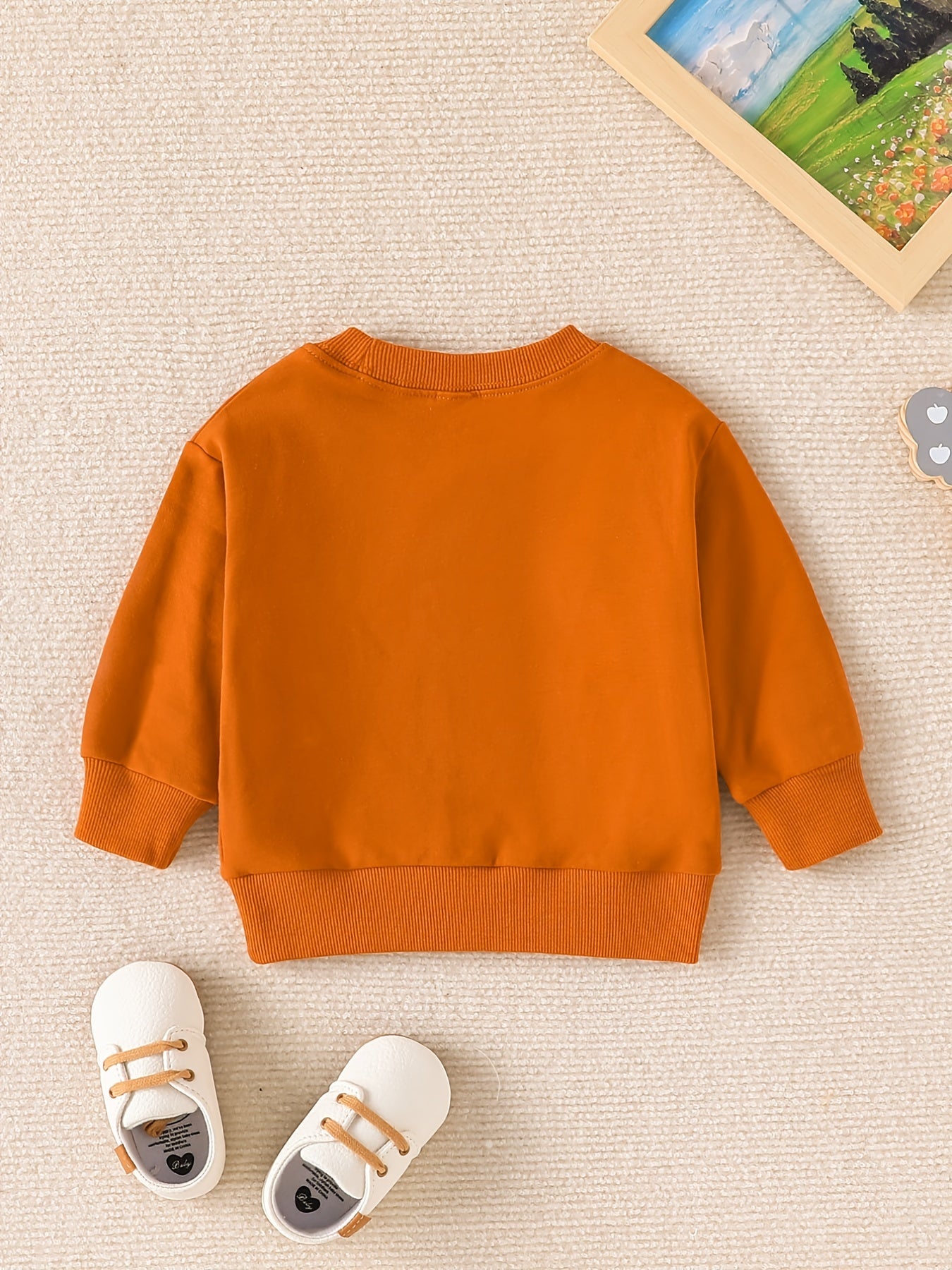 Baby Boys Casual Long Sleeve Pullover BABE Sweatshirt