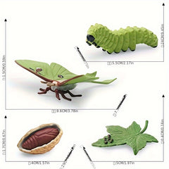 Moon God Moth Life Growth Cycle Toy Set