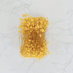 Dried Flower Bouquet Set - Real Naturally Dried Flowers for DIY Crafts