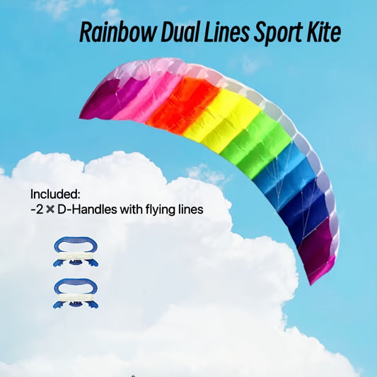Colorful Dual Lines Kite with D Handles and Flying Lines