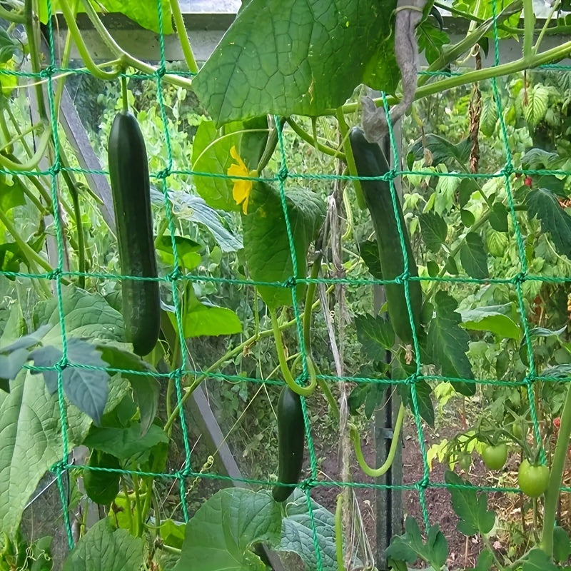 Plant Climbing Net 179 89 Trellis Netting For Climbing Plants