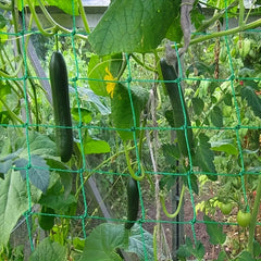 Plant Climbing Net 179 89 Trellis Netting For Climbing Plants
