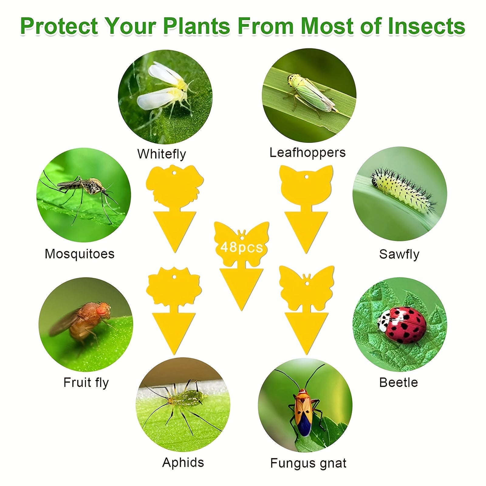103pcs Dual-Sided Fruit Fly Trap Indoor Outdoor Catch Fungus Gnats Mosqui