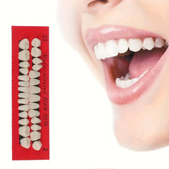 28pcs Dental Practice Tooth Mold Set Student Oral Material Model