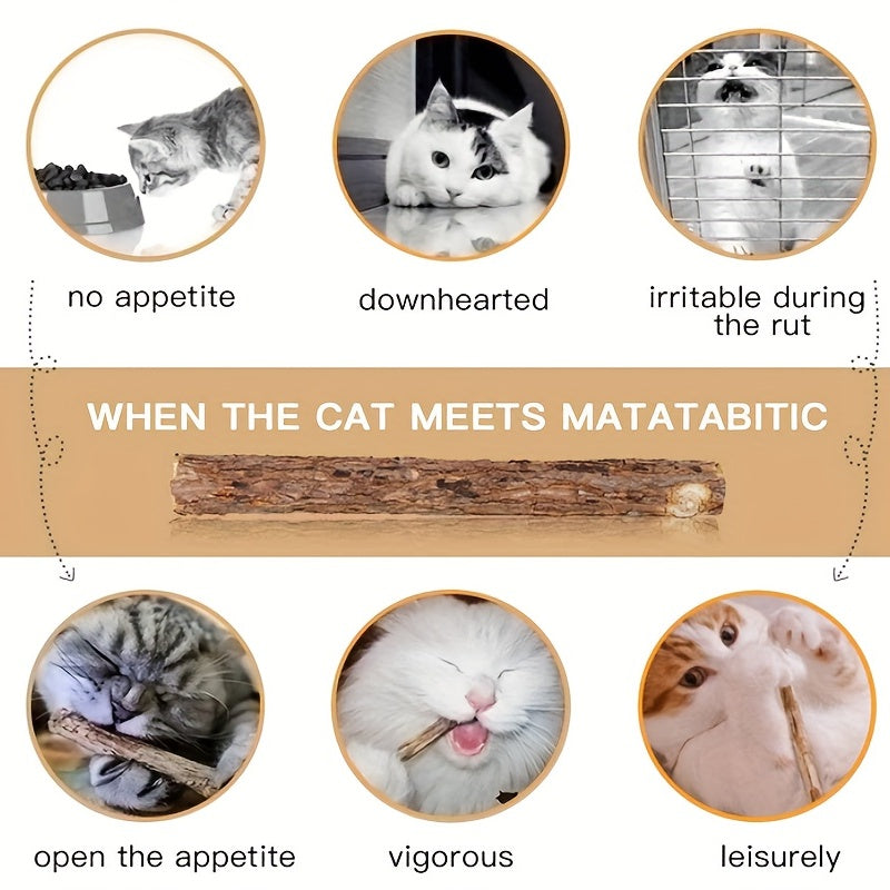 15pcs Catnip Sticks Chew Toys For Cat