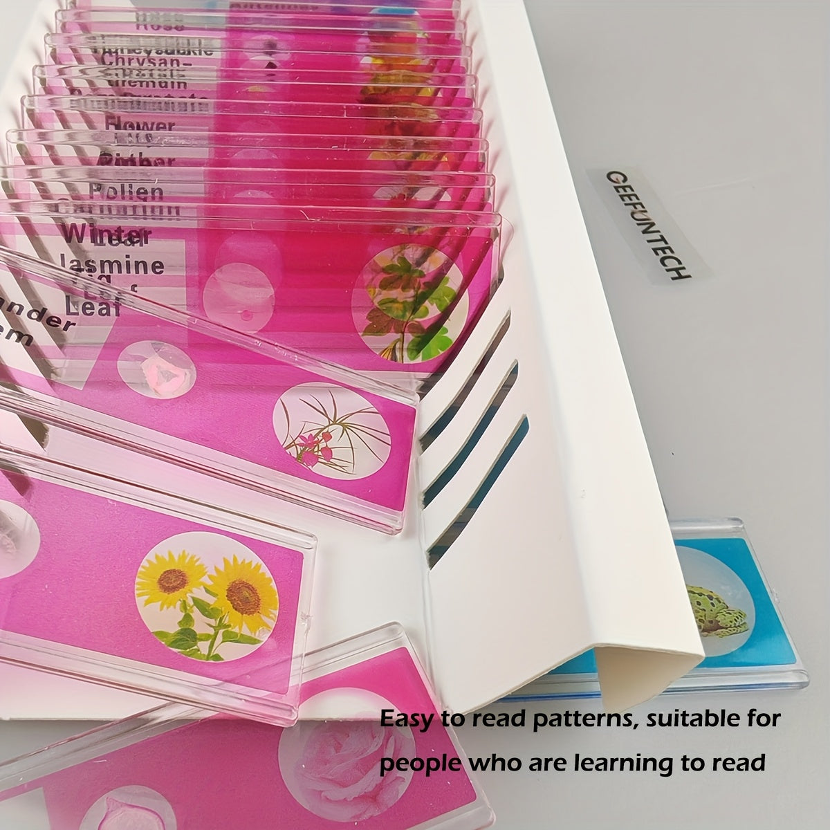 Microscope Slides 48pcs 4 Colors Sample Microbiological Biology Microscope Slice