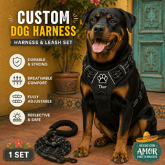img_5202866