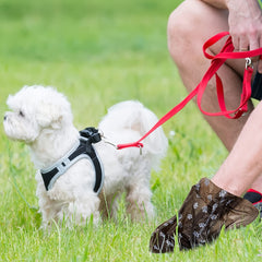 150 Dog Poop Bags, Assorted Varieties