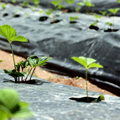 Embossed Plastic Film Garden Weed Barrier 33x3 Feet