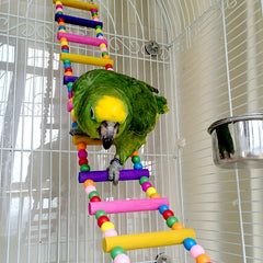 Colorful Beaded Bird Climbing Ladder Parrot Chew Toy